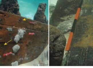 Artefak Simbol Umat Islam Dan Kristen Abad Ke 7 Ditemukan Dalam Bingkai